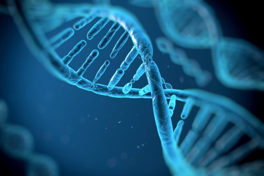 Investigadores desarrollan ADN sintético para construir materiales inteligentes