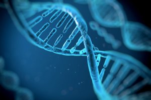Lee más sobre el artículo Investigadores desarrollan ADN sintético para construir materiales inteligentes