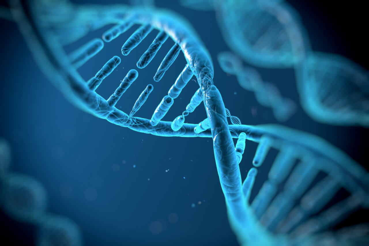 En este momento estás viendo Investigadores desarrollan ADN sintético para construir materiales inteligentes