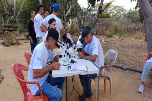 Lee más sobre el artículo Lara | Analizan importancia de las abejas meliponas para el equilibrio ecológico