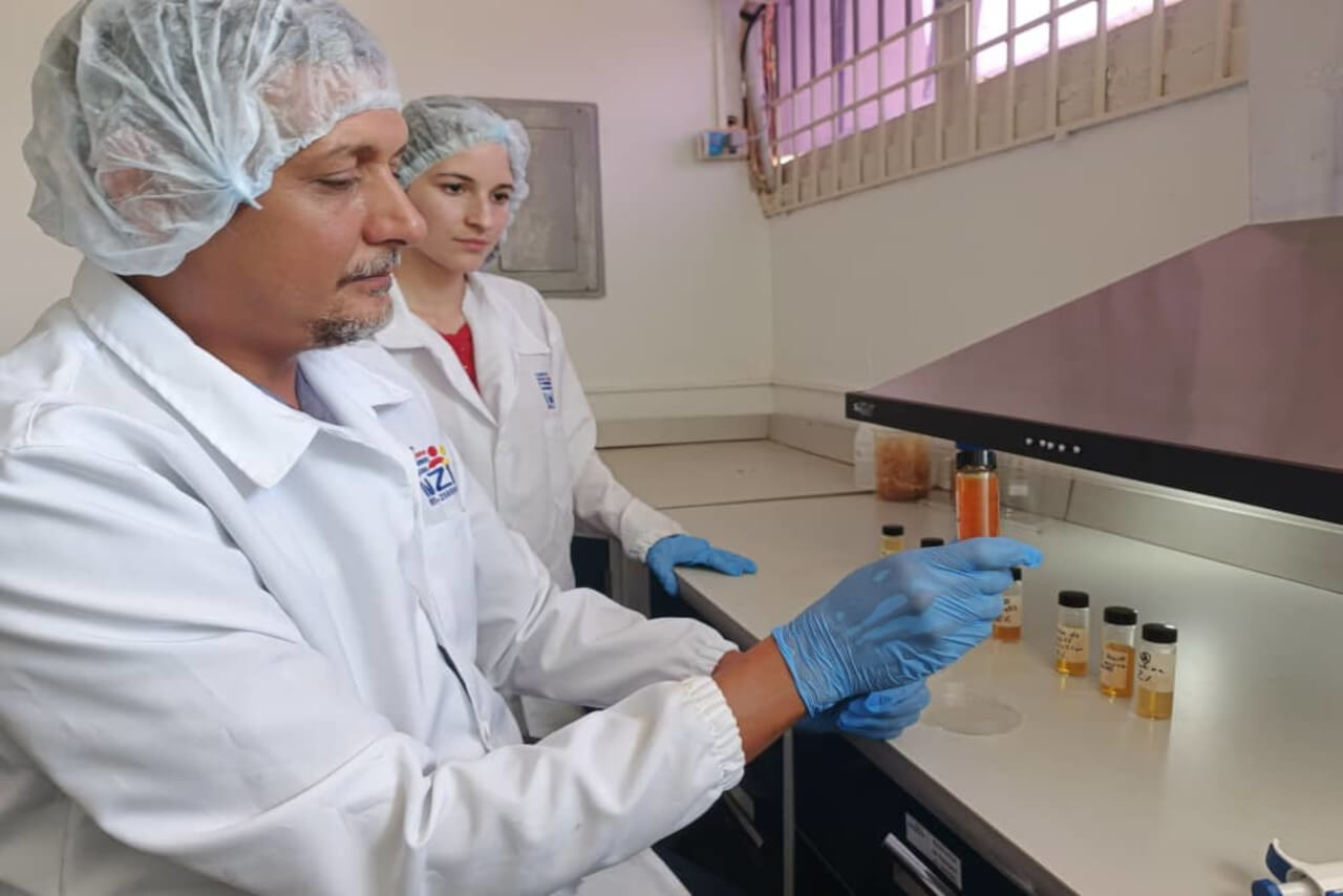 En este momento estás viendo Fundación Inzit logra avance significativo en la lucha contra el Fusarium Raza 4 Tropical