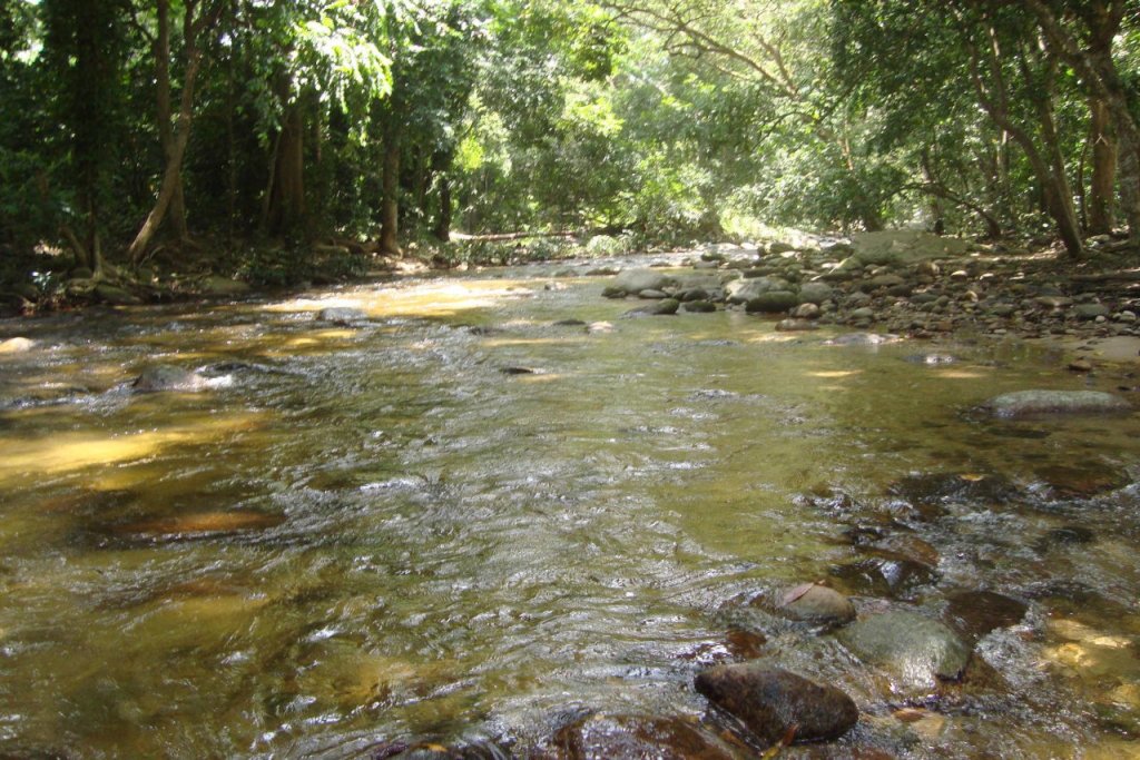 Presentan estudio sobre preservación de los ríos costeros del centro norte de Venezuela