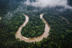 Lee más sobre el artículo Científicos y pueblos indígenas venezolanos en alianza por la preservación de la Cuenca Amazónica