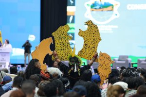 Lee más sobre el artículo Venezuela refuerza compromiso con la Amazonía y su lucha contra la crisis climática
