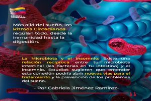 Lee más sobre el artículo El impacto de los ritmos circadianos en la salud humana