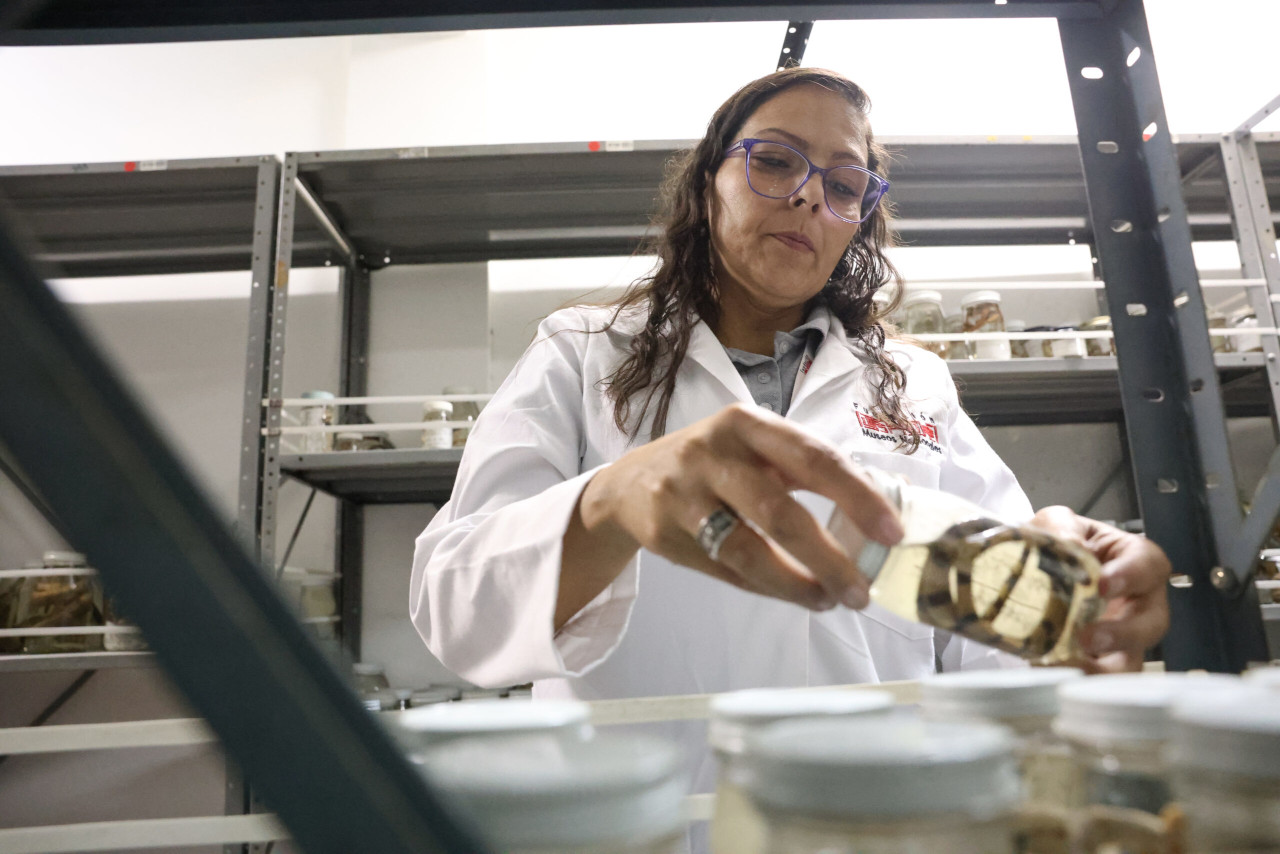 En este momento estás viendo Yoliana Añanguren: la biología como pasión y estilo de vida