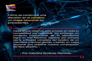 Lee más sobre el artículo Cómo se construye una decisión en el cerebro: un mapa neuronal sin precedentes.