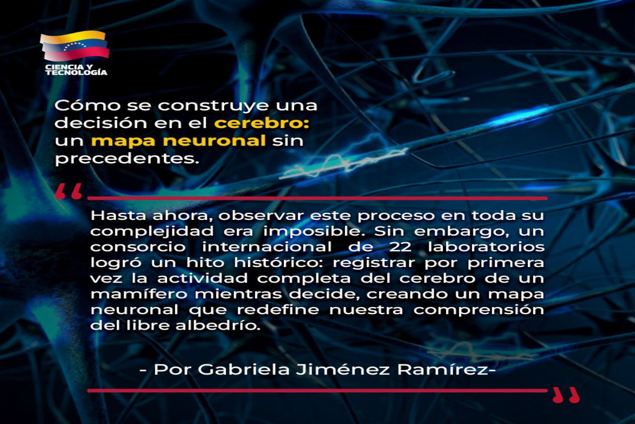 En este momento estás viendo Cómo se construye una decisión en el cerebro: un mapa neuronal sin precedentes.