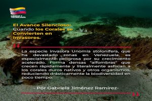 Lee más sobre el artículo El Avance Silencioso: Cuando los Corales se Convierten en Invasores