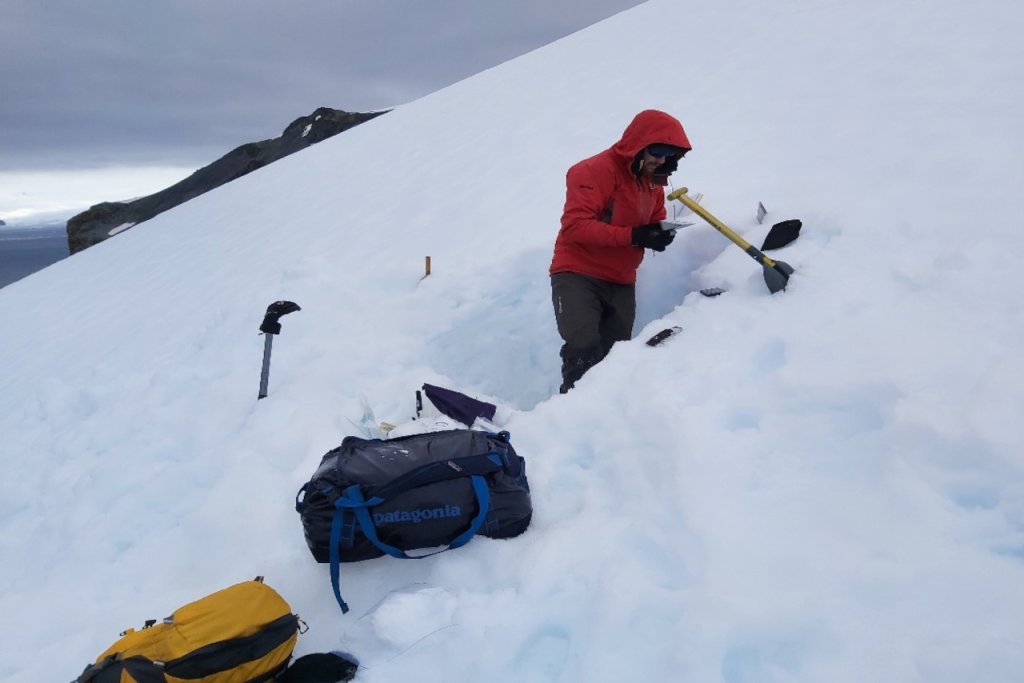 Venezuela participa en destacada contribución al conocimiento antártico