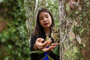 Lee más sobre el artículo Daniela Canelón: guardiana de la flora venezolana