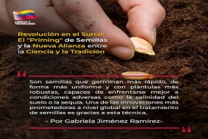 Lee más sobre el artículo Revolución en el surco: El «Priming» de semillas y la nueva alianza entre la ciencia y la tradición.