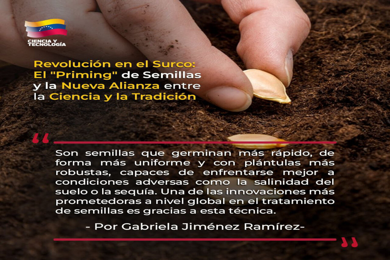 En este momento estás viendo Revolución en el surco: El «Priming» de semillas y la nueva alianza entre la ciencia y la tradición.