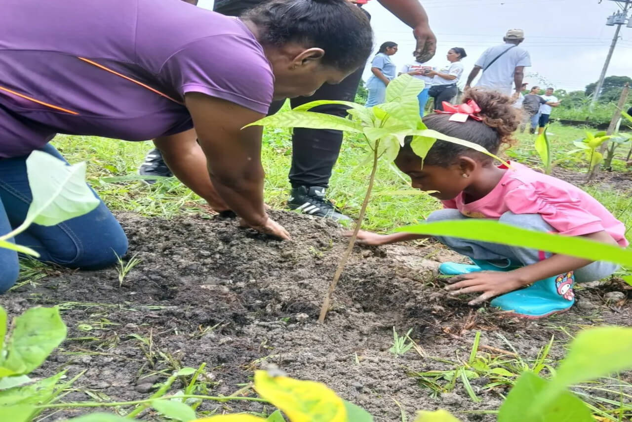 En este momento estás viendo Productoras del estado Miranda impulsan soberanía científica y agrícola con cacao