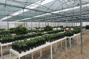 Lee más sobre el artículo ACAV incorpora bioinsumos para mejorar productividad agrícola nacional