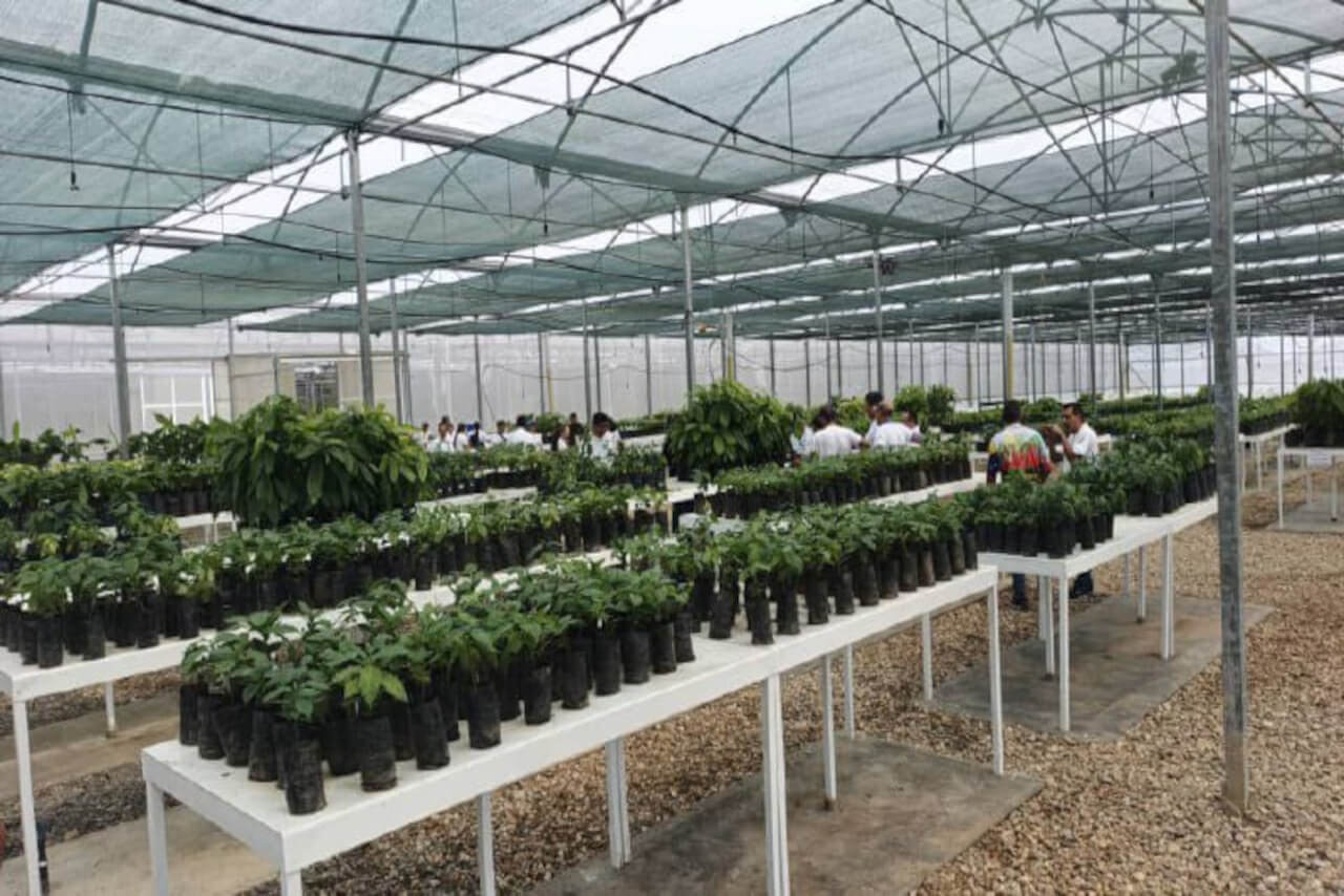 En este momento estás viendo ACAV incorpora bioinsumos para mejorar productividad agrícola nacional