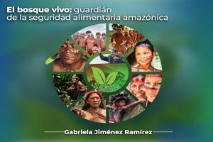 Lee más sobre el artículo El bosque vivo: guardián de la seguridad alimentaria amazónica
