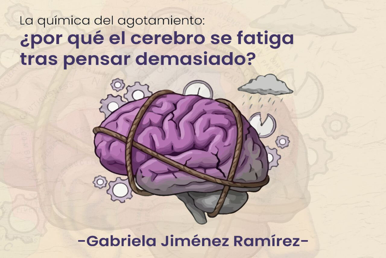 En este momento estás viendo La química del agotamiento: ¿por qué el cerebro se fatiga tras pensar demasiado?