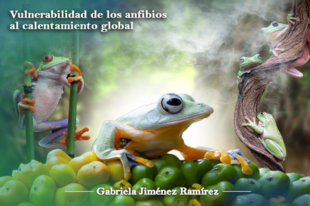 Vulnerabilidad de los anfibios al calentamiento global