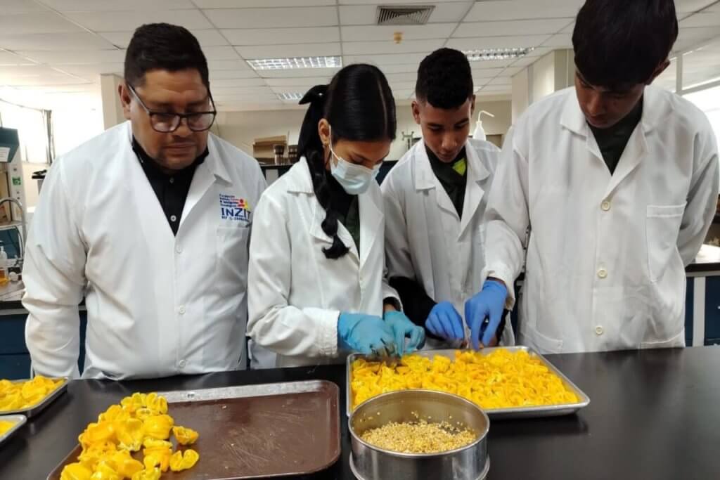 Inzit capacita a estudiantes de agroalimentación en la conservación de semillas de ají