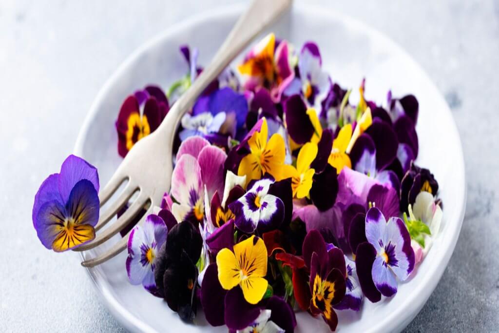 El retorno a la naturaleza, entre azules y verdes, conectamos con la vida