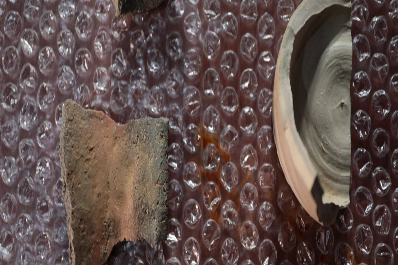 En este momento estás viendo Experta del IVIC resalta importancia de la arqueología para reconstruir la identidad histórica del país