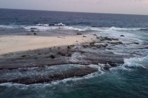 Lee más sobre el artículo Fortalecen preservación ambiental de Isla de Aves en IV Jornada de Investigación Científica 2026