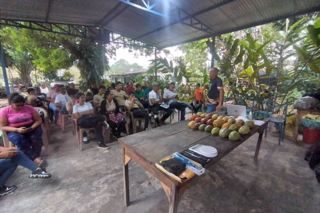 En este momento estás viendo Barinas | Mincyt fortalece capacidades científicas de productores para el mejoramiento genético del cacao