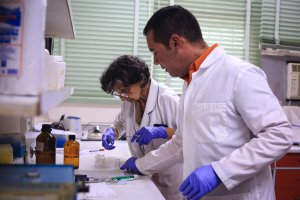 Lee más sobre el artículo Venezuela alcanza hito histórico con 70 mil investigadores registrados