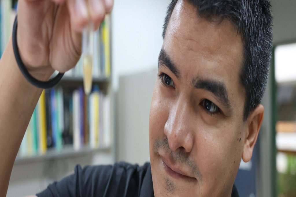 IVIC estudia reproducción del playero pico grueso en Margarita para fortalecer su conservación
