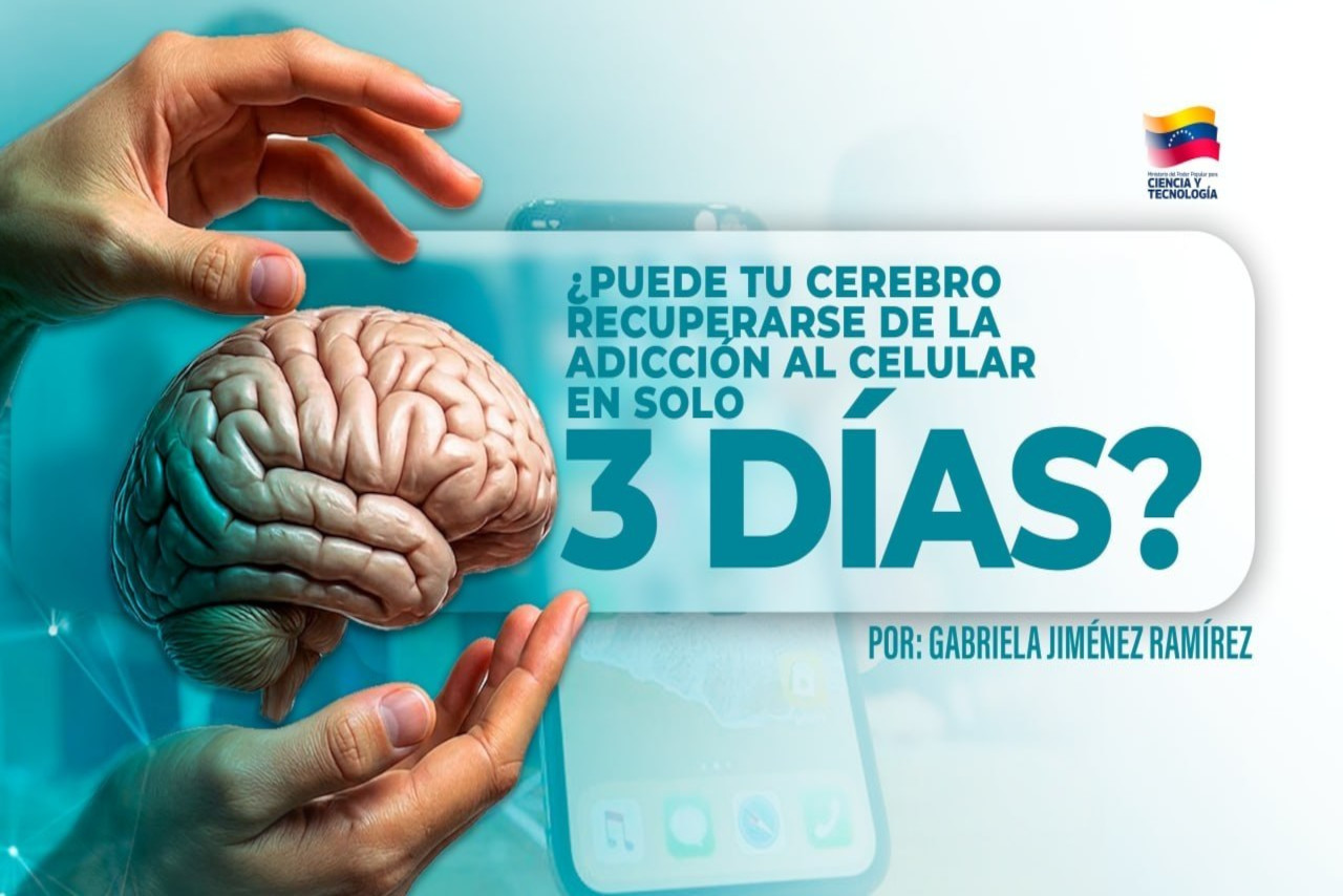 En este momento estás viendo ¿Puede tu cerebro recuperarse de la adicción al celular en solo tres días?