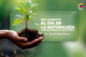 Lee más sobre el artículo Solo 15 minutos al día en la naturaleza podrían mejorar tu salud mental