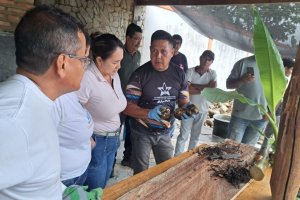 Lee más sobre el artículo ACAV capacita a productores de Barinas en propagación de plátano Hartón