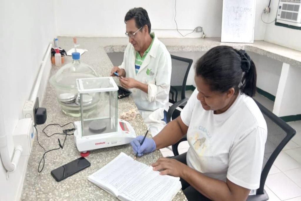 Cenidic e INIA fortalecen rigor científico en el monitoreo de materiales de cacao para la producción nacional