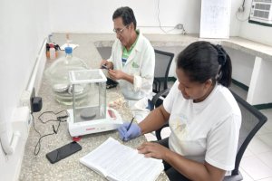 Lee más sobre el artículo Cenidic e INIA fortalecen rigor científico en el monitoreo de materiales de cacao para la producción nacional