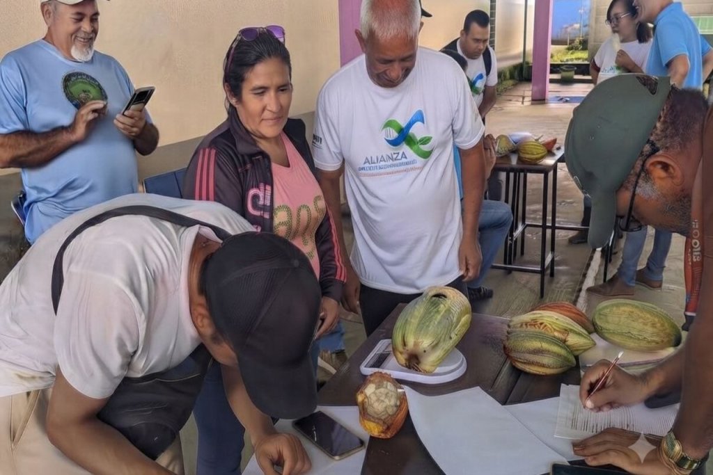 ACAV dicta taller de mejoramiento genético del cacao a productores de Barinas