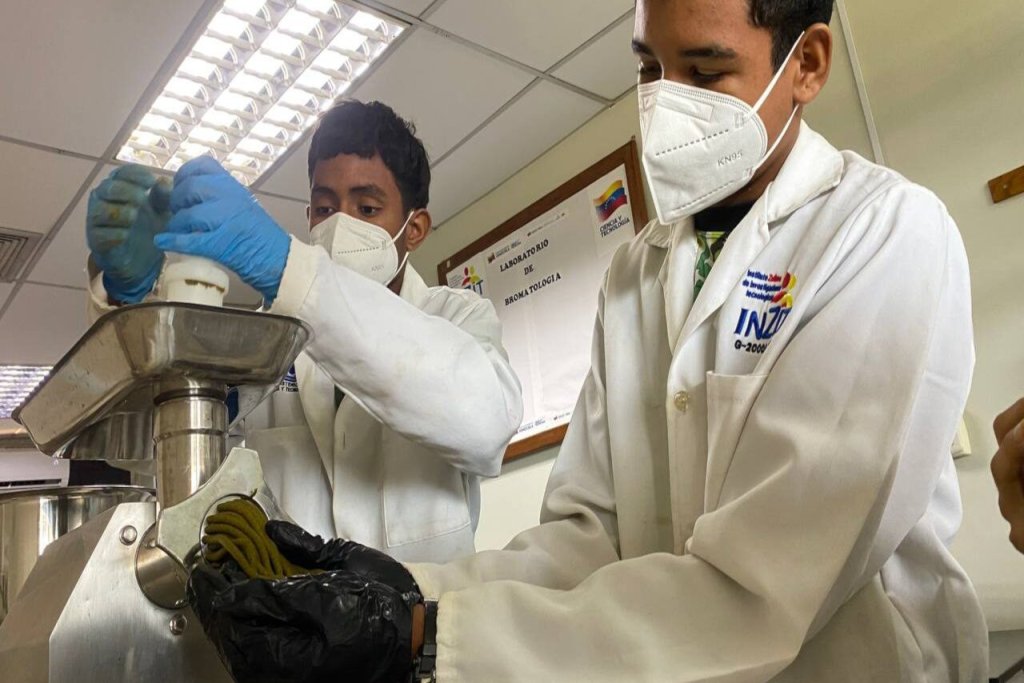 Fundación Inzit impulsa proyecto de alimento alternativo para cerdos en el estado Zulia