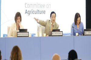 Lee más sobre el artículo Venezuela destacó en la FAO la innovación con enfoque territorial como pilar para fortalecer la soberanía alimentaria