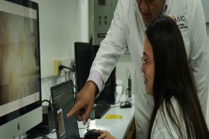 Lee más sobre el artículo IVIC desarrolla investigación bioquímica para la extracción de mucílagos en tubérculos nacionales