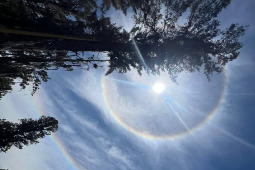 El halo solar es un fenómeno óptico inofensivo producido por luz y cristales de hielo