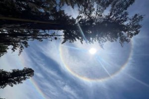 Lee más sobre el artículo El halo solar es un fenómeno óptico inofensivo producido por luz y cristales de hielo