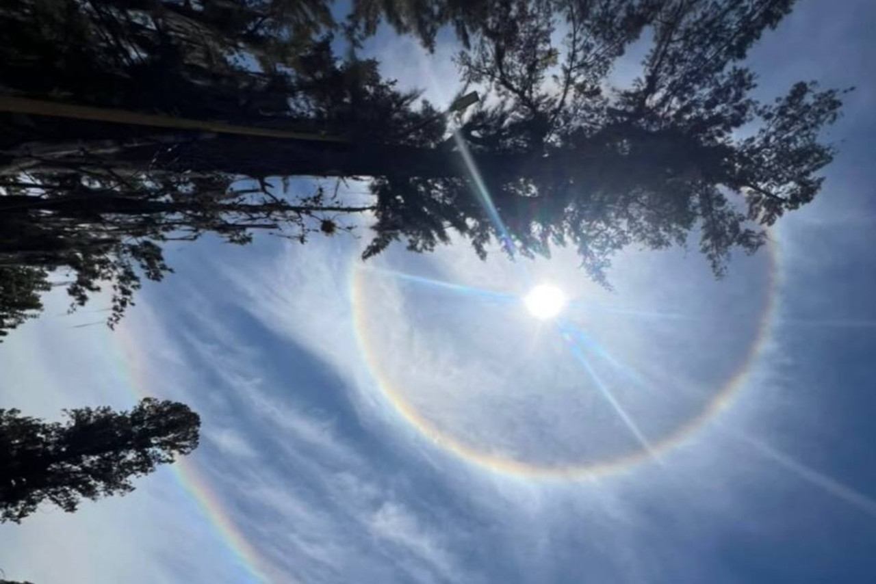 Lee más sobre el artículo El halo solar es un fenómeno óptico inofensivo producido por luz y cristales de hielo