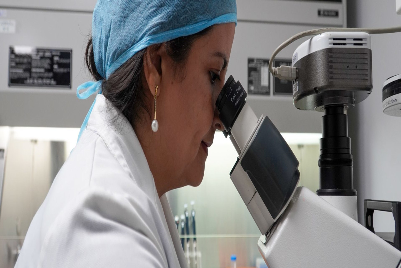 En este momento estás viendo Investigadores del IVIC desarrollan terapia de regeneración cutánea a partir de células madre de folículos pilosos