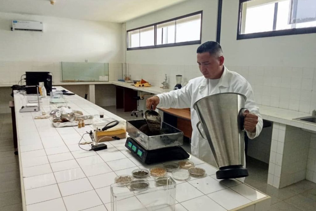 ACAV investiga el uso de harina de mosca soldado negra como proteína alternativa para la alimentación animal